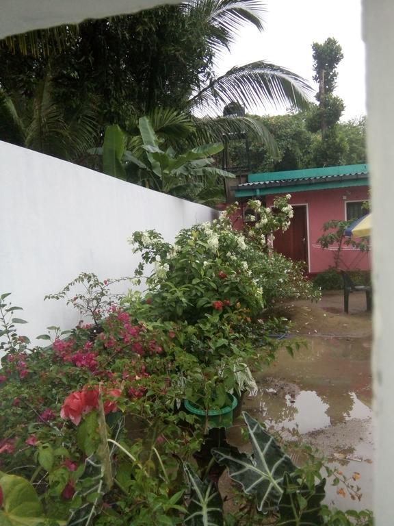 Little Pink House Apartment Mirissa Exterior photo